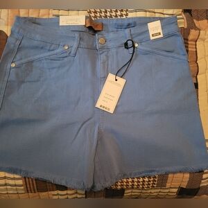 Judy Blue Light Blue Jean Shorts
